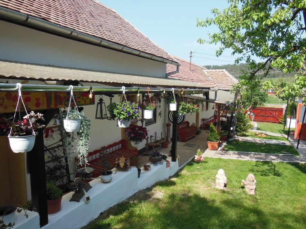 Pension Bassen Bazna Exterior foto