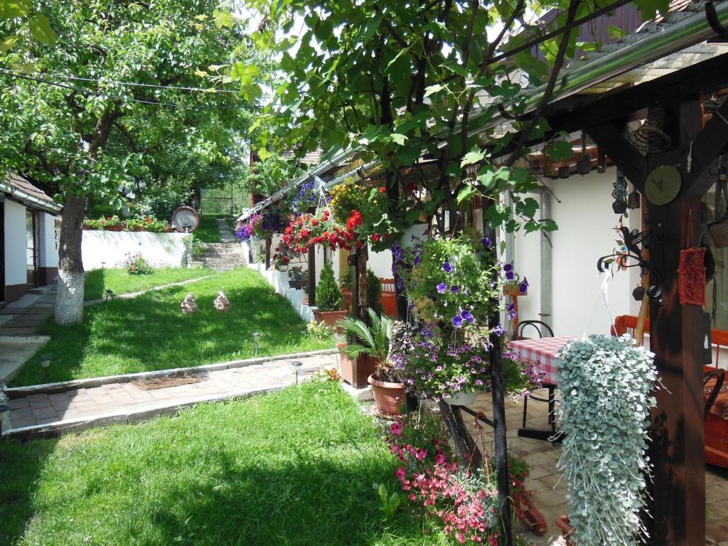 Pension Bassen Bazna Exterior foto