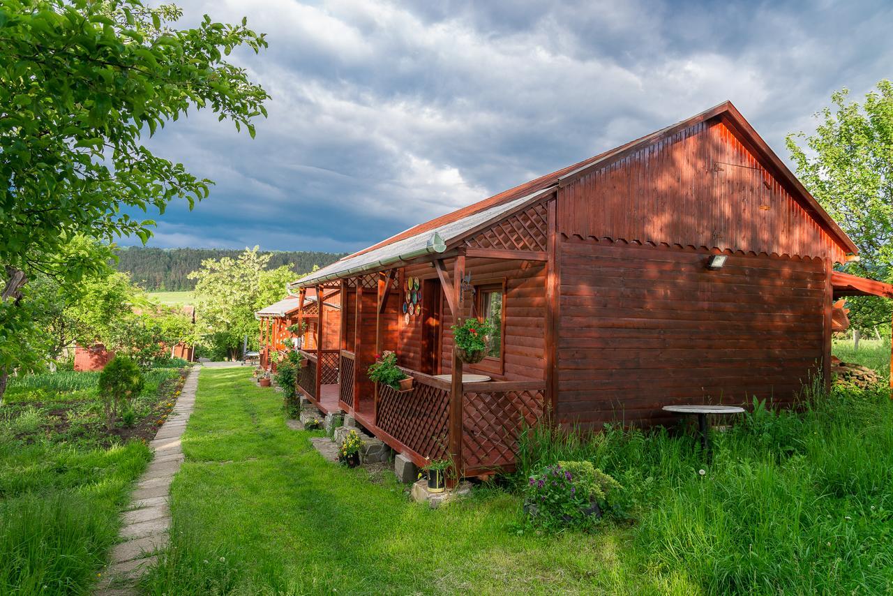 Pension Bassen Bazna Exterior foto
